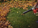 The best cordless leaf blowers 2021