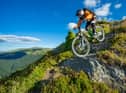 Voodoo, Vitus or Pinnacle: which is the best mountain bike for you? 