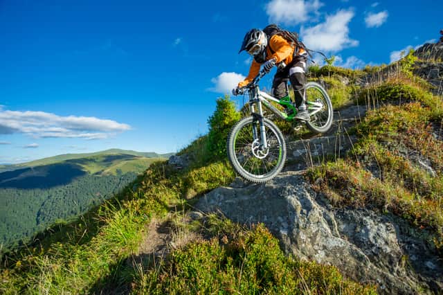 <p>Voodoo, Vitus or Pinnacle: which is the best mountain bike for you? </p>