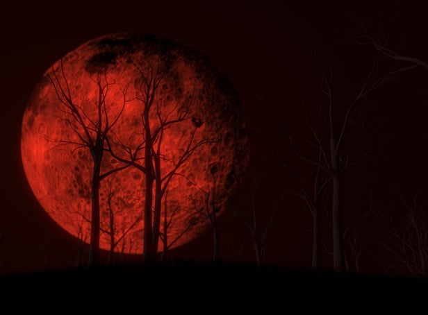 <p>A red full moon. Image: kmls - stock.adobe.com</p>