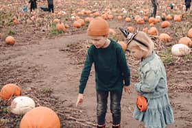 Here are the best pumpkin patches in Edinburgh that you can go to this autumn