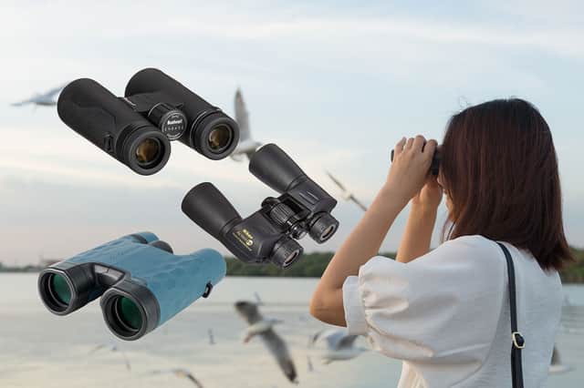 <p>Best binoculars 2022 for birdwatching and nature hikes </p>