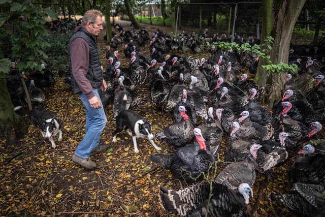 Childerhouse, who runs 35-acre Whews Farm in Norfolk, had to cull his 10,000-strong flock of turkeys earlier this autumn. 