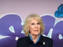 Queen Consort Camilla have tested positive for Covid-19, say Buckingham Palace officials.