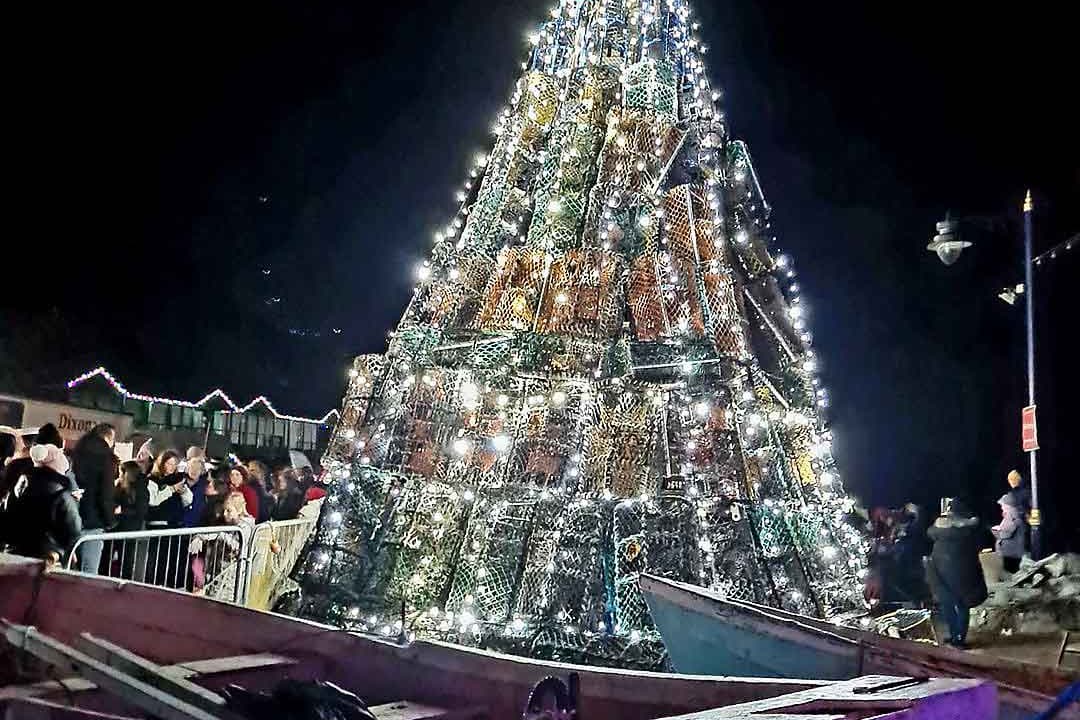 Fishtree First News: What a fishtive tree!