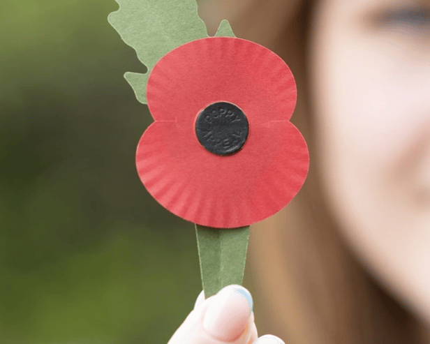 The new plastic-free poppy (Photo: Royal British Legion) 