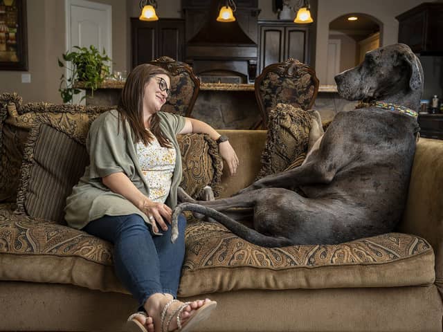 Zeus - Tallest Dog Living
Guinness World Records 2022 (photo: shadai perez)