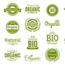 Eco-friendly labels (photo: adobe)