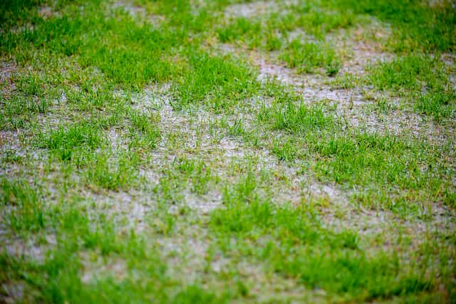 Victoria Park failed a pitch inspection.