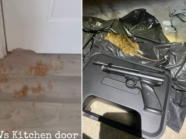 A mum was left horrified as a rat chewed through her kitchen door in the night in Doncaster, South Yorkshire