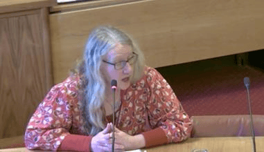 Alison Murphy from EIS addressing the finance committee