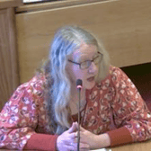 Alison Murphy from EIS addressing the finance committee
