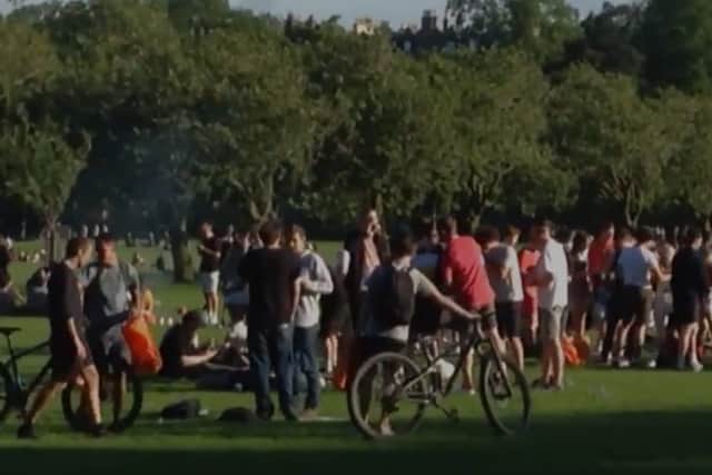 Crowds gather in the sunshine at The Meadows, but a lack of public toilets led to people urinating in public.