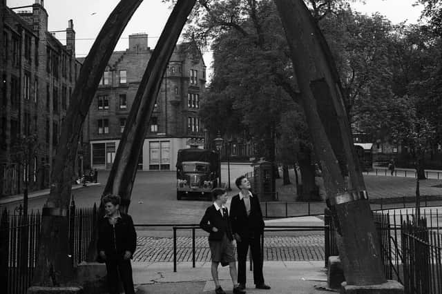 Jawbone Walk at the Meadows,  pictured in November, 1954. The unique sculpture had stood there for more than 120 years before being removed in 2014.