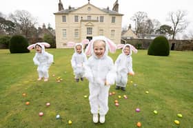 The National Trust for Scotland has organised Easter egg trails from Friday March 29 to Monday April 1 at two of its popular properties in Edinburgh and the Lothians: the House of the Binns, near Linlithgow, and Newhailes House and Gardens in Musselburgh. Visitors can take in the beautiful spring colours and immerse themselves in nature during the trails, where they can flex their puzzle-solving skills by following clues to earn a delicious Easter treat, the perfect activity to keep youngsters entertained during the school holidays. Each trail costs £4 with accompanying adults going free. The Easter egg trail at the House of the Binns, March 29 - April 1, 10am–4pm. Book your trail in advance at www.eventbrite.co.uk/e/easter-egg-trail-at-the-house-of-the-binns-tickets-780637025357?aff=ebdsoporgprofile.
While, the trail at Newhailes House & Gardens, Musselburgh: March 29-31, 10am–4pm. Book your trail in advance at www.eventbrite.co.uk/e/easter-egg-trails-at-newhailes-2024-tickets-759760483057?aff=ebdsopor.