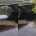 Sewage spilling into Water of Leith. Local campaign group Save our shore Leith (SOS) says regulator needs to act to tackle complaints