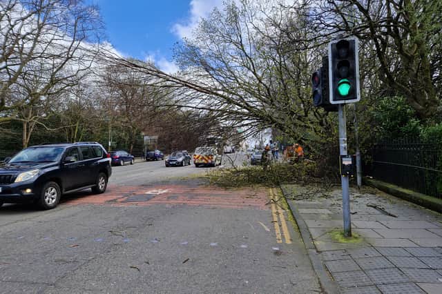 Workmen were quickly on the scene to clear the fallen tree which had been blocking three lanes of Dundas Street.