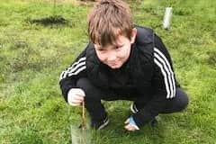 Youngster Enzo Smith helps out the Danderhall Guerrilla Gardeners planting new trees.