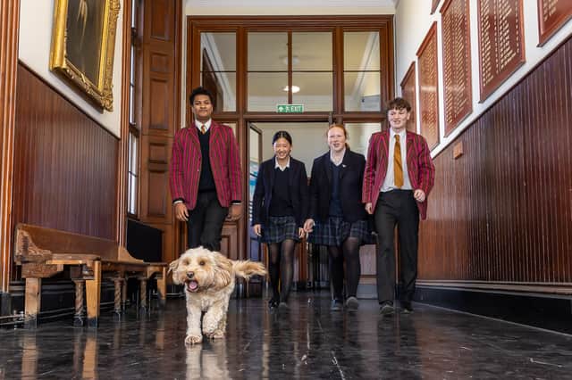 Pupils at Fettes love having a therapy dog at school.