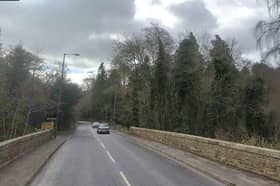 The trees felled were on land off Newbattle Road, in a conservation area. Photo: Google Maps.