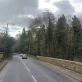 The trees felled were on land off Newbattle Road, in a conservation area. Photo: Google Maps.