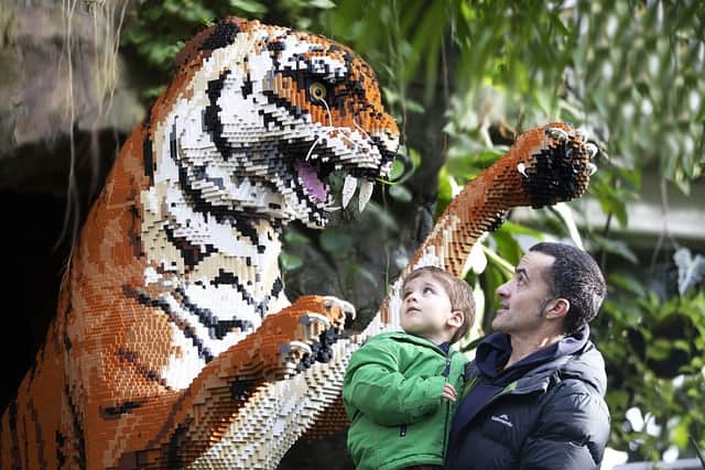 The BRICKLIVE Zoo Safari exhibition will run from Friday May 24 until Wednesday July 31 at Edinburgh Zoo