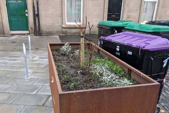 'Rusty bucket' planters are to be removed unless people from the community offer to look after one.  Picture: Andy Arthur.