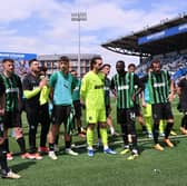 US Sassuolo players shows their dejection during the Serie A TIM match between US Sassuolo and Cagliari at Mapei Stadium (Pic: Getty)