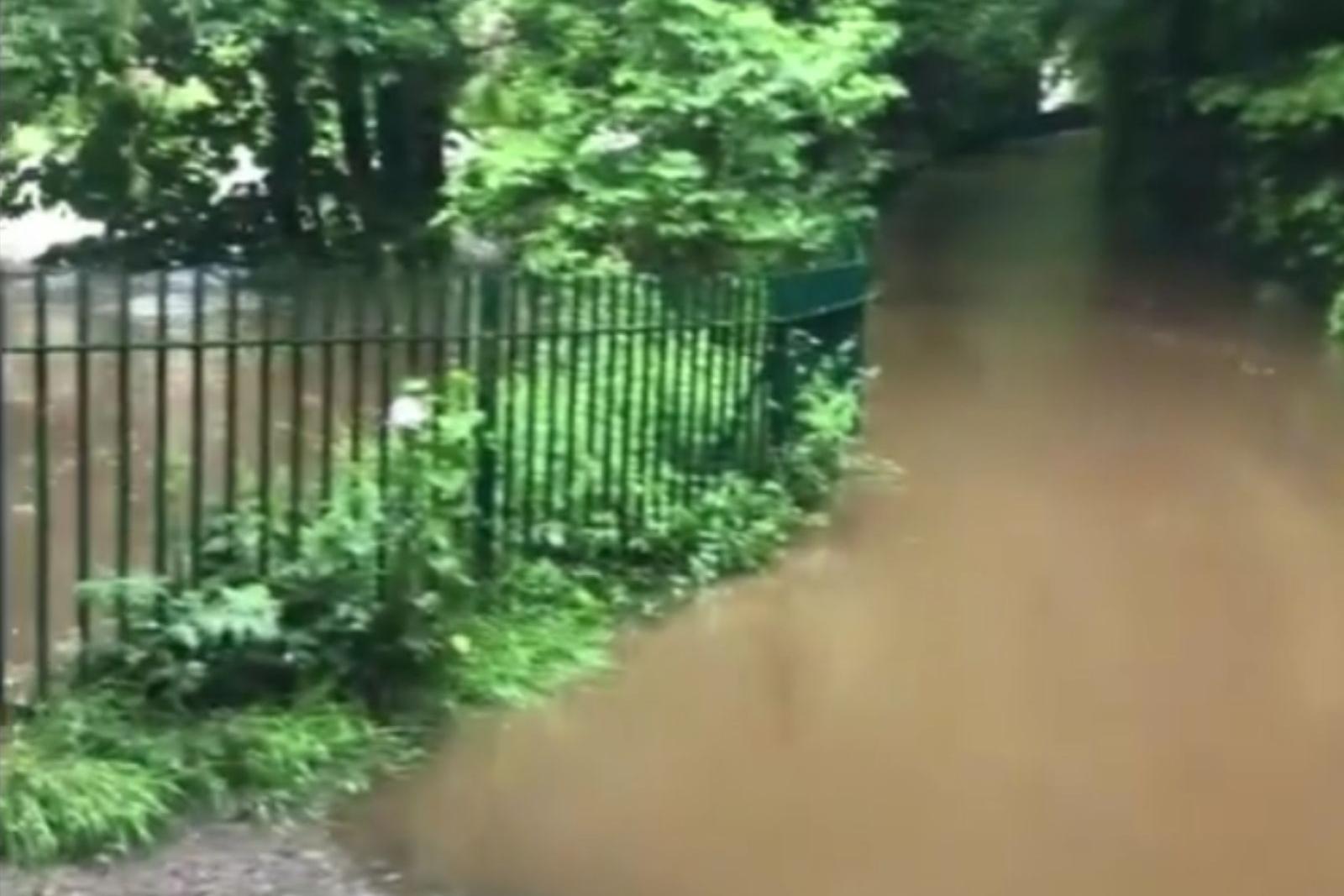 Watch: Water of Leith bursts its banks with flood gates closed and residents urged to be cautious - Vimarsana News