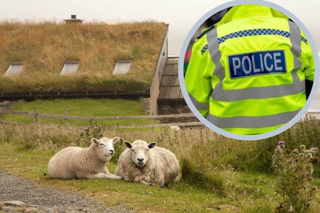 West Lothian crime: Woman charged after five sheep injured by dog near ...