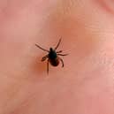 Latest reports show there was more than 1,500 cases of Lyme disease in 2024.