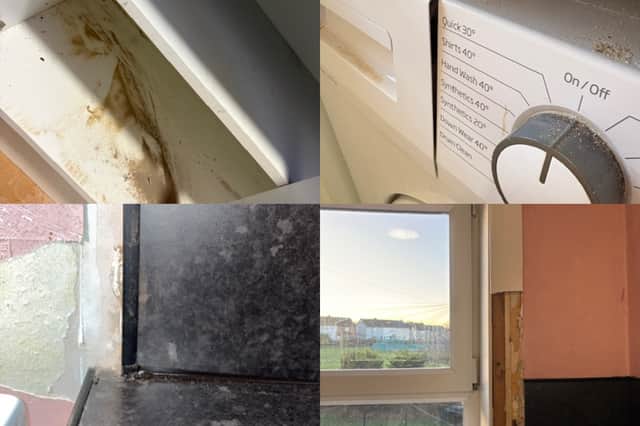 Photos of the mess left in the kitchen and unfinished work at Lauren's flat