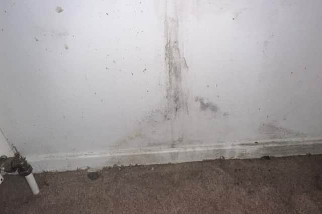 Daniel Seavers and Charlie Bryans say that their letting agency have "repeatedly ignored" their concerns about damp in their Gorgie flat.