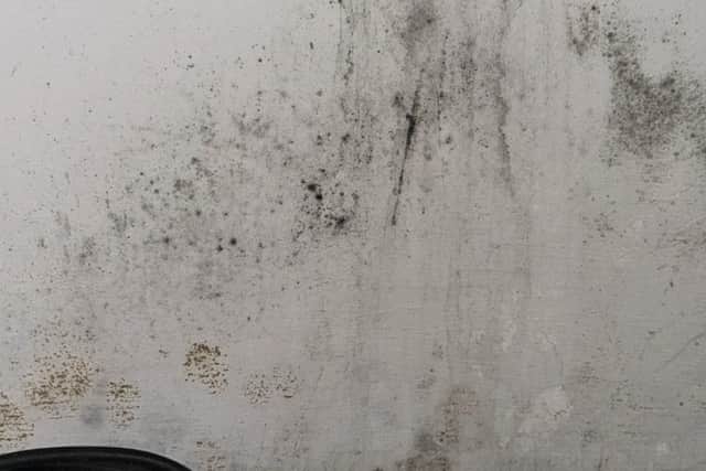 Daniel Seavers and Charlie Bryans say that their letting agency have "repeatedly ignored" their concerns about damp in their Gorgie flat.