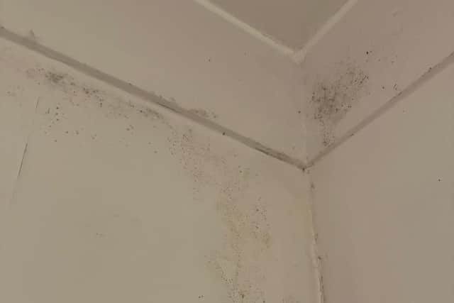 Daniel Seavers and Charlie Bryans say that their letting agency have "repeatedly ignored" their concerns about damp and mould in the property.
