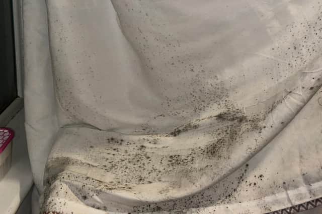 Daniel Seavers and Charlie Bryans say that their letting agency have "repeatedly ignored" their concerns about damp in their Gorgie flat.
