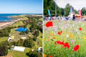 Fringe By The Sea festival are calling on local resident to take part in the new Project Plant initiative.
