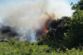 Gorse fires are common at this time of year.