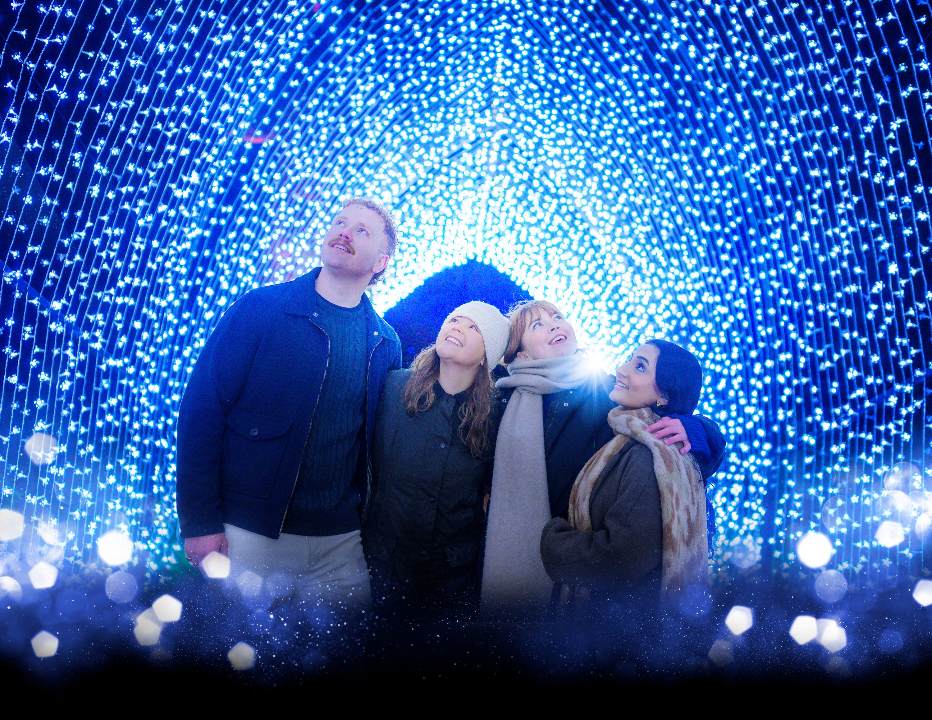Christmas At The Botanics 2026 will celebrate 10 magical years with ...