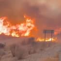 Screengrab taken from video of part of a wildfire in Almeria, Andalucia, that has killed 11 people in southern Spain. 