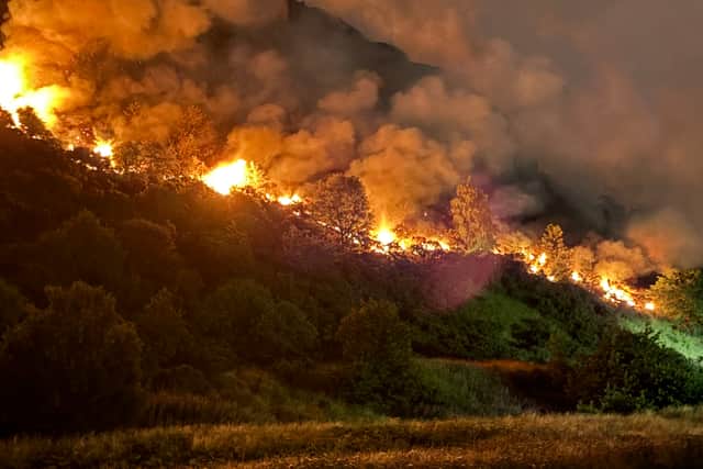 Initially contained to two spots, the fire spread in both directions overnight