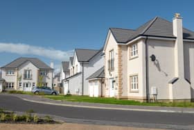 Newbuild houses on a Scottish estate