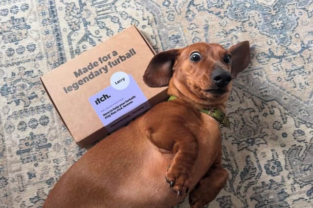 Itch offers monthly spot-on flea treatment tailored to a pet’s species, age and weight, with the first treatment currently free.