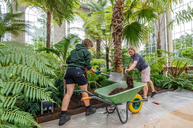 Staff prepare the soil for planting in the restored Palm Houses at the Royal Botanic Garden Edinburgh.