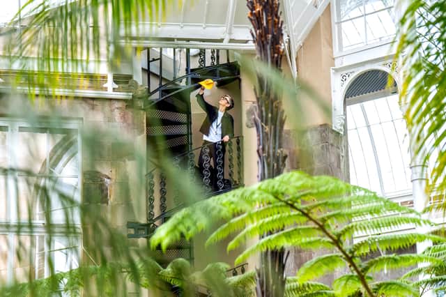 Deputy curator Sadie Barber cleans one of the refurbished wrought iron staircases in the restored Palm Houses at the Royal Botanic Garden Edinburgh.