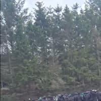 Seven people including two teens arrested and charged after Hibs fans clashed with St Johnstone supporters at Perth away fixture