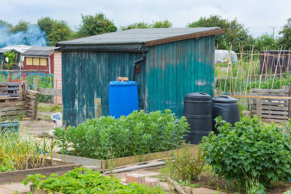 Edinburgh has 'huge unmet demand' for allotments.
Picture: Getty Images/iStockphoto