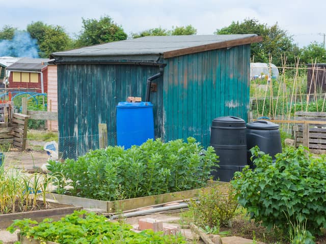 Edinburgh has 'huge unmet demand' for allotments.
Picture: Getty Images/iStockphoto