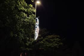 The Christmas lights appeared along the road earlier this week 