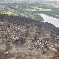 Mystery deepens over bizarre animal bones discovered in wake of Arthur’s Seat wildfire